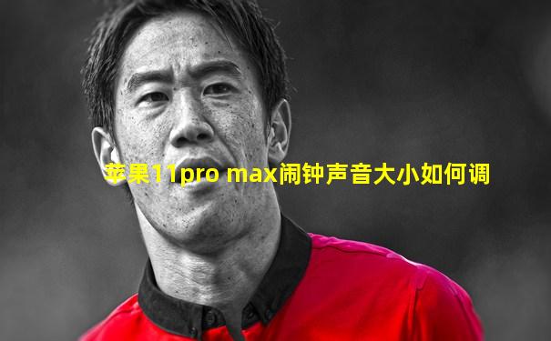 苹果11pro max闹钟声音大小如何调